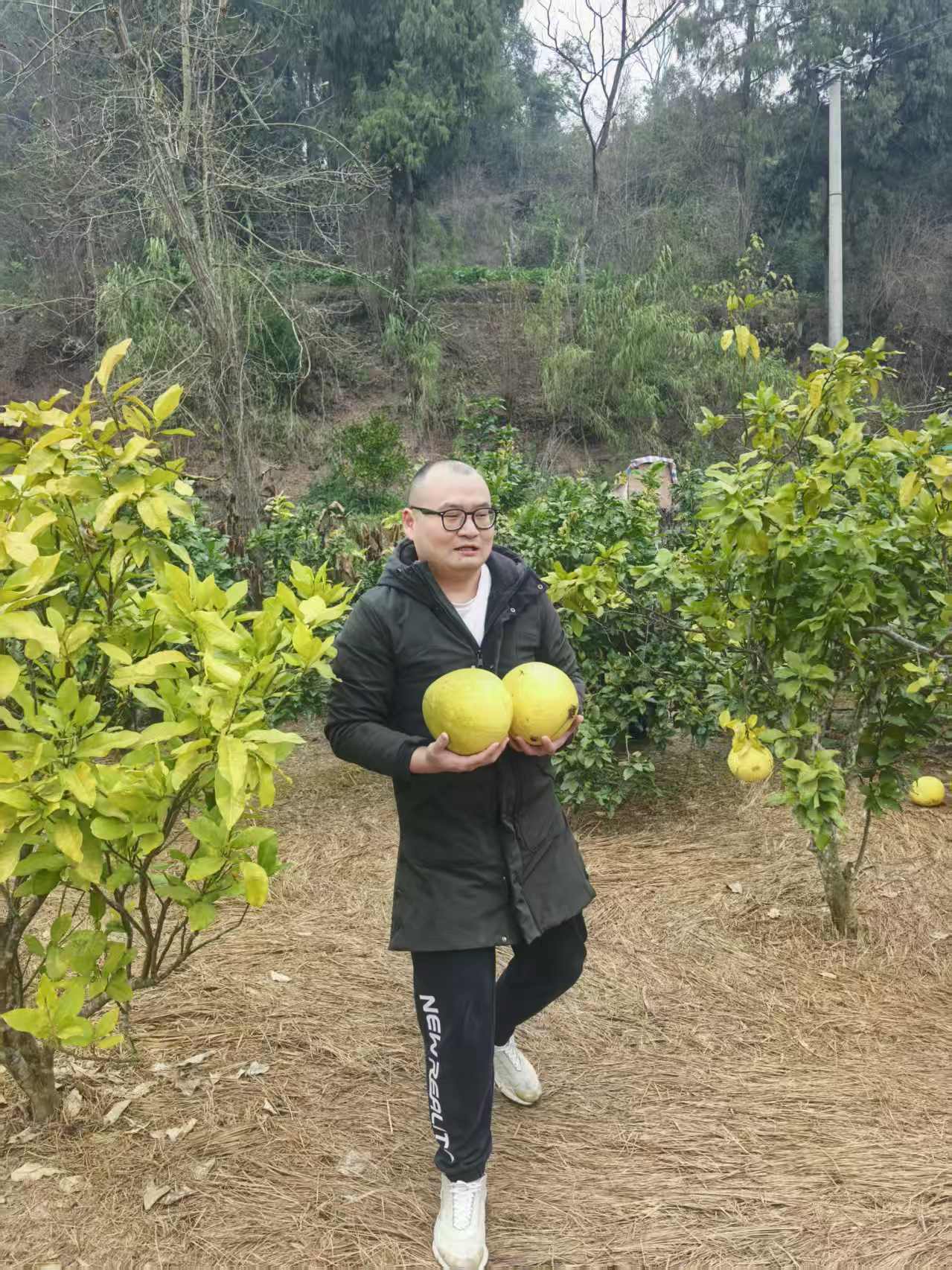 1768359653126943.jpg 1768359653126943.jpg